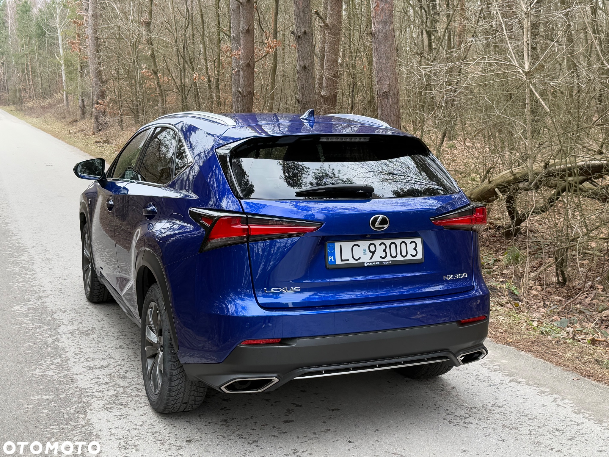 Lexus NX 300 F Sport AWD - 8