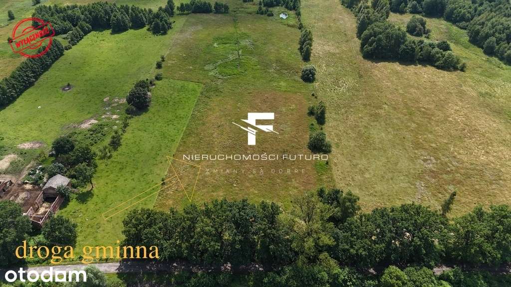 Urokliwa działka rolna Modrzewo gmina Suchań - Pełny obrazek: 2/10
