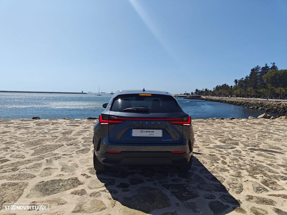 Lexus NX 450h+ Executive - 5