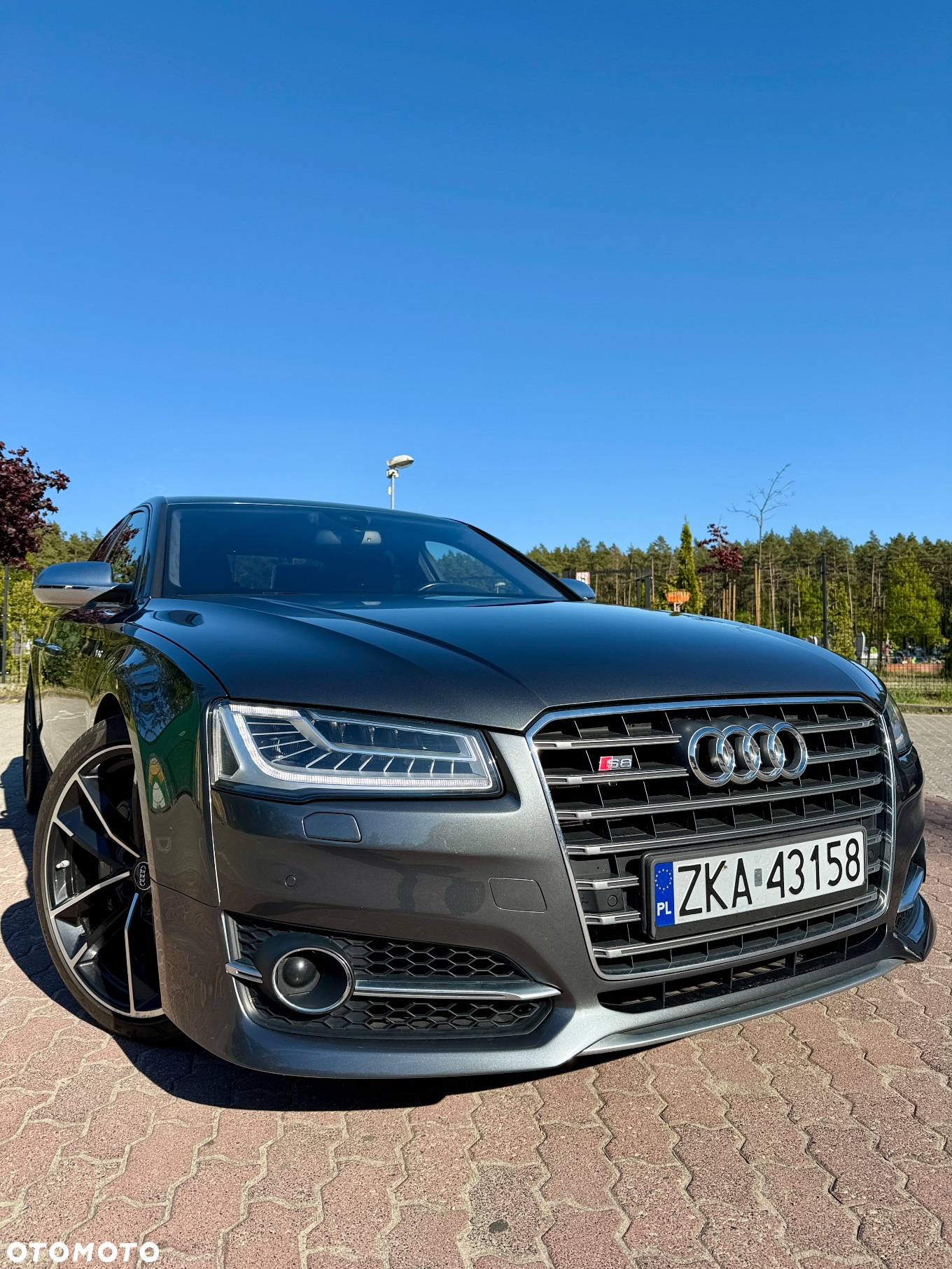 Audi S8 Plus 4.0 TFSI Quattro - 6