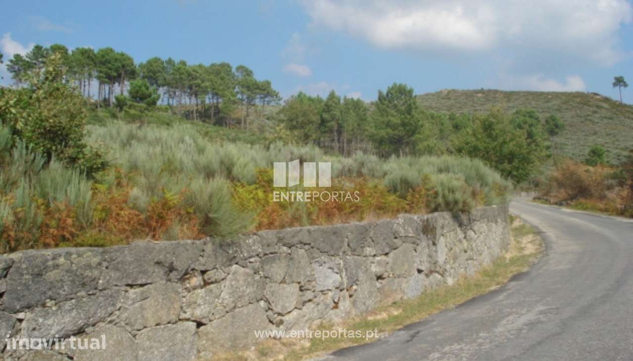 Venda Terreno, Gestaçô, Baião - Grande imagem: 2/5