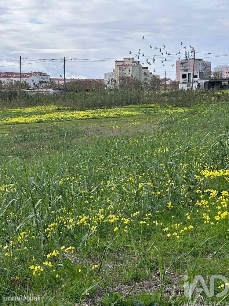 Terreno em Peniche - Grande imagem: 5/7