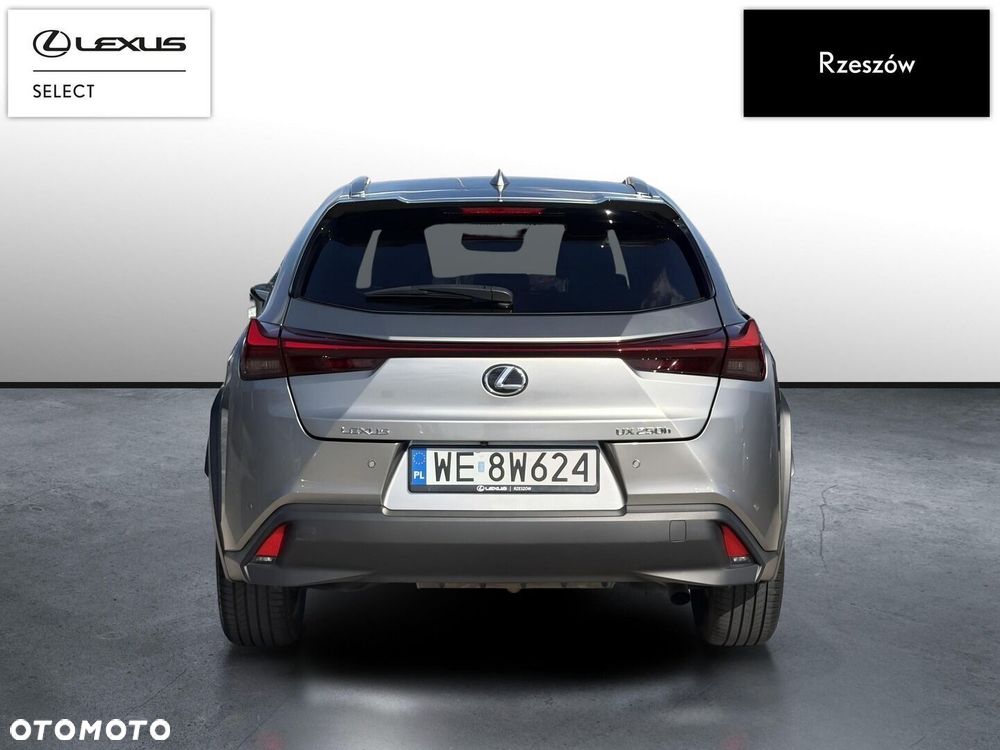 Lexus UX 250h GPF Business 2WD - 4
