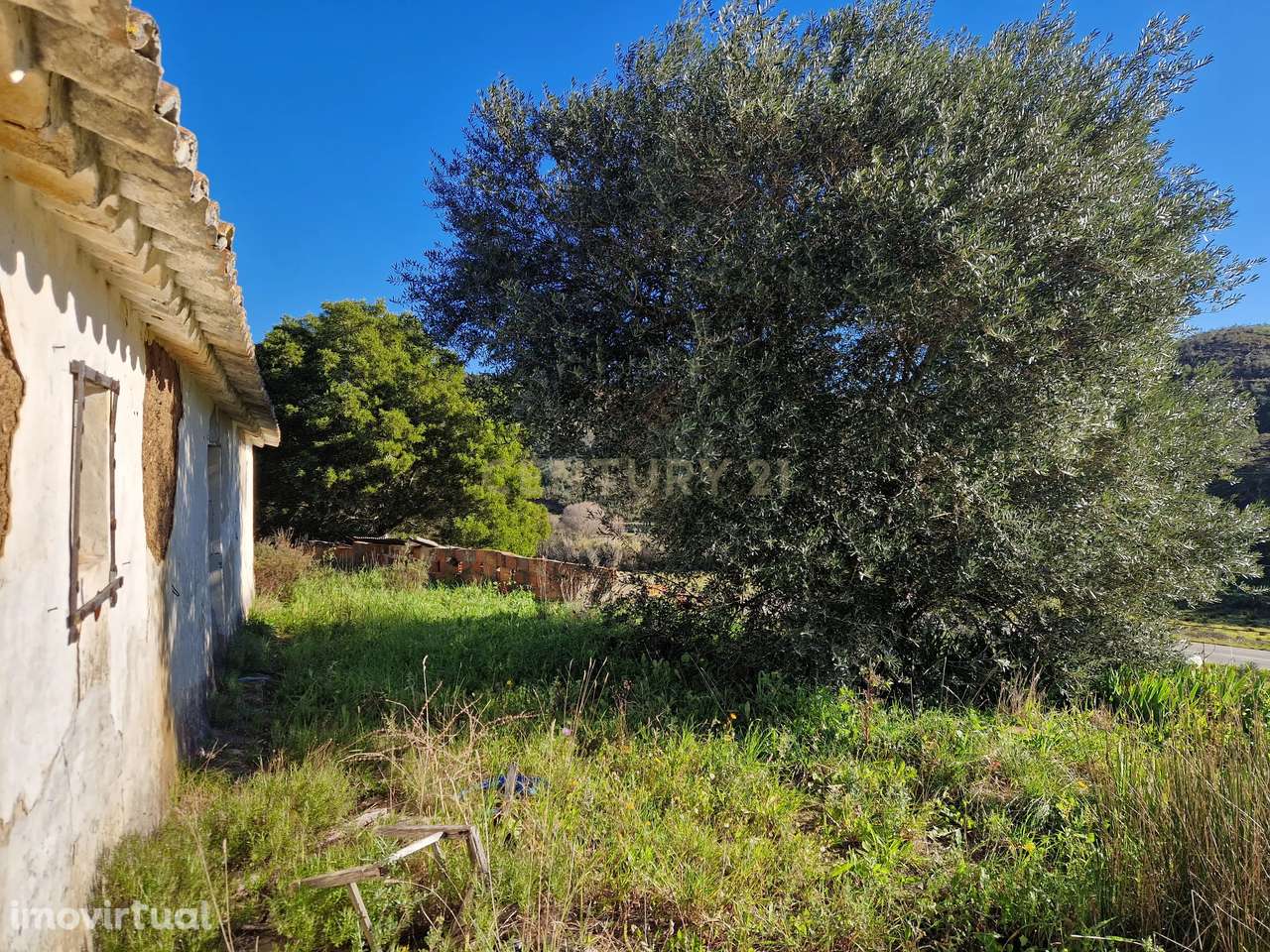 Ruína com 4 Hectares de terreno - S. Teotónio (Odemira) - Grande imagem: 4/9