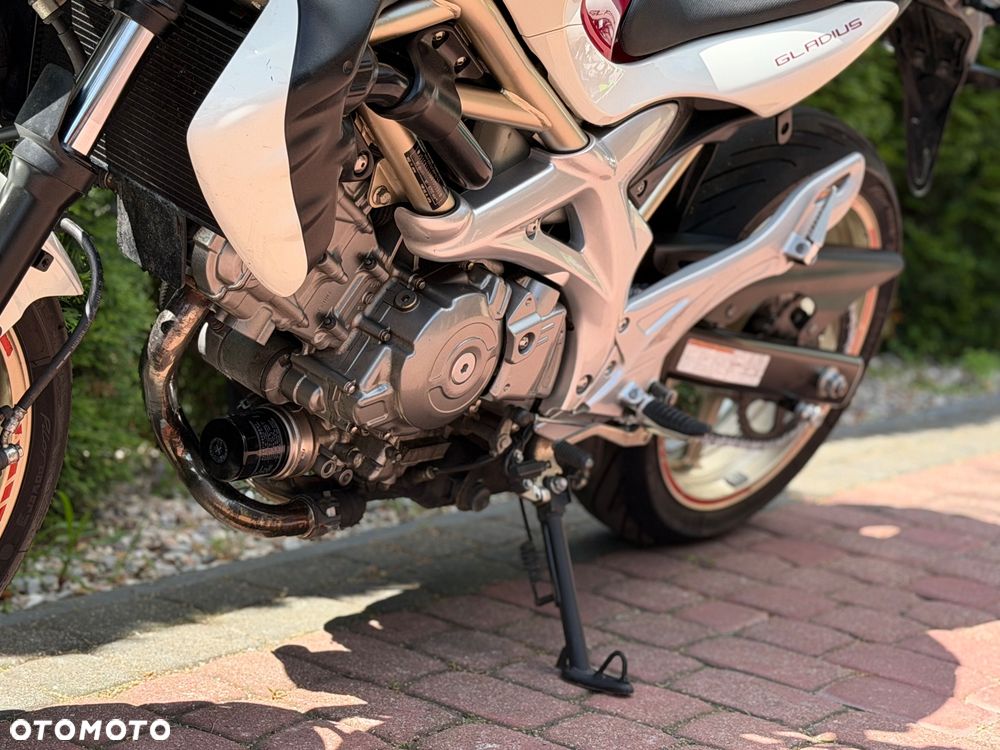 Suzuki Gladius - 17