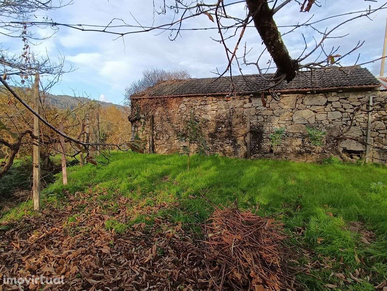 Moradia em granito – Oliveira de Frades - Grande imagem: 5/13