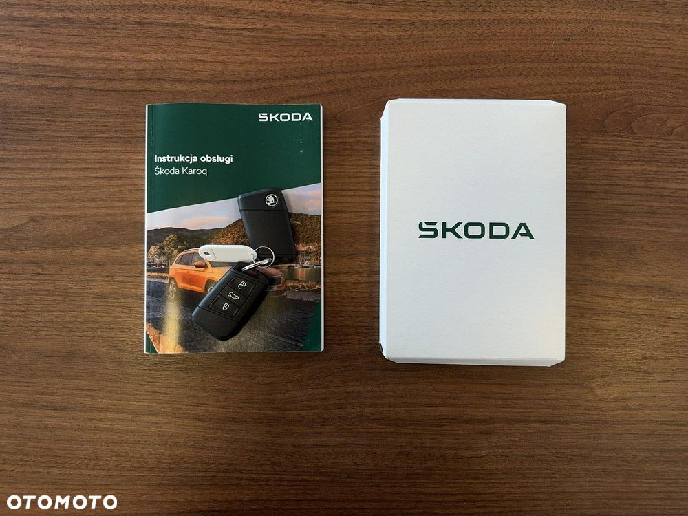 Skoda Karoq - 31