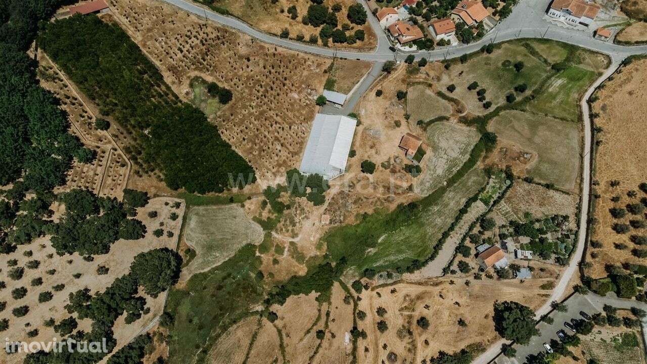 Quinta / Seia, Paranhos - Grande imagem: 3/17