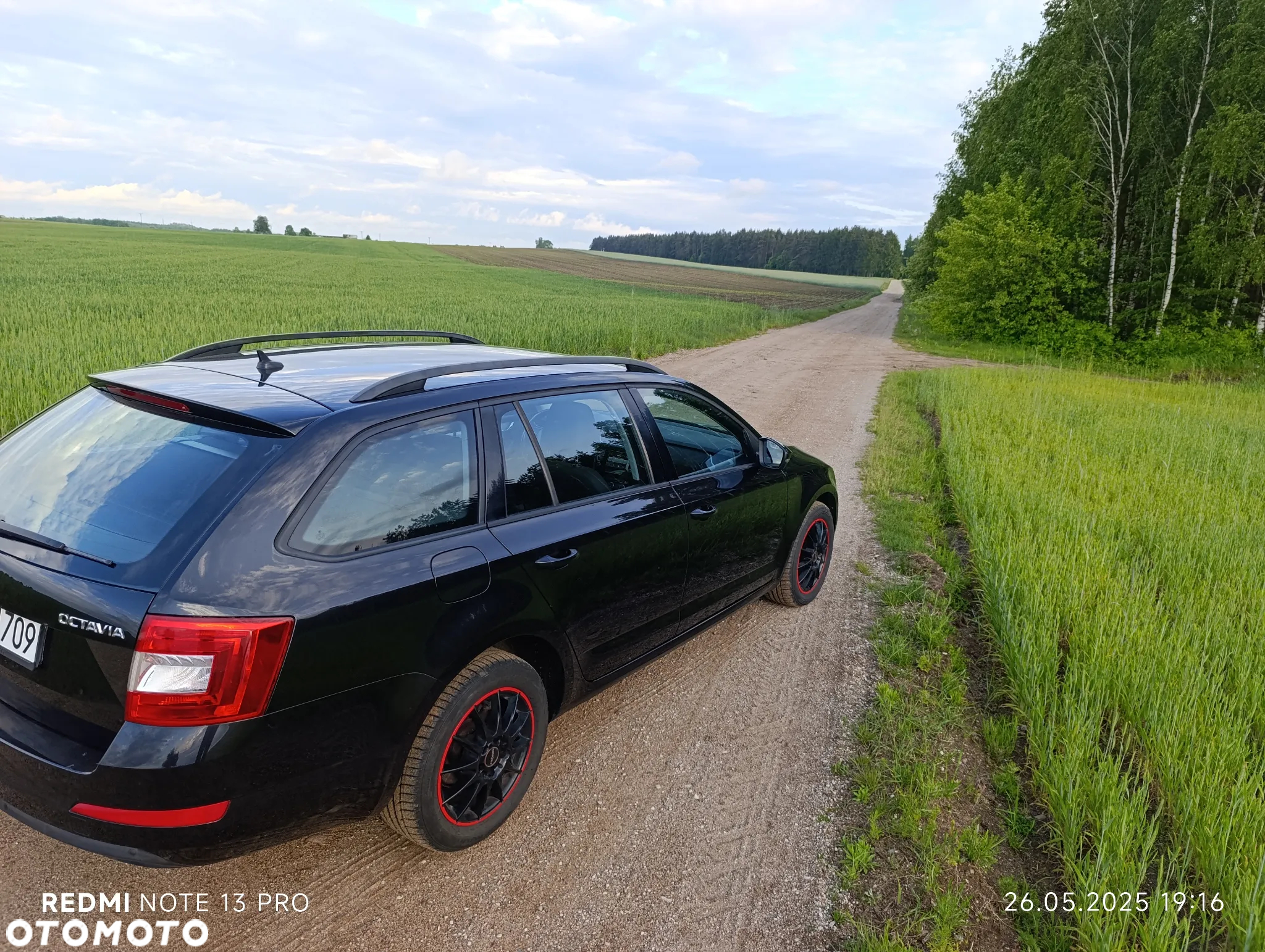 Skoda Octavia 1.6 TDI Ambiente - 12