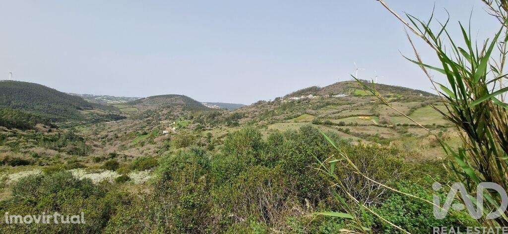 Terreno Agrícola em Mafra - Grande imagem: 5/21