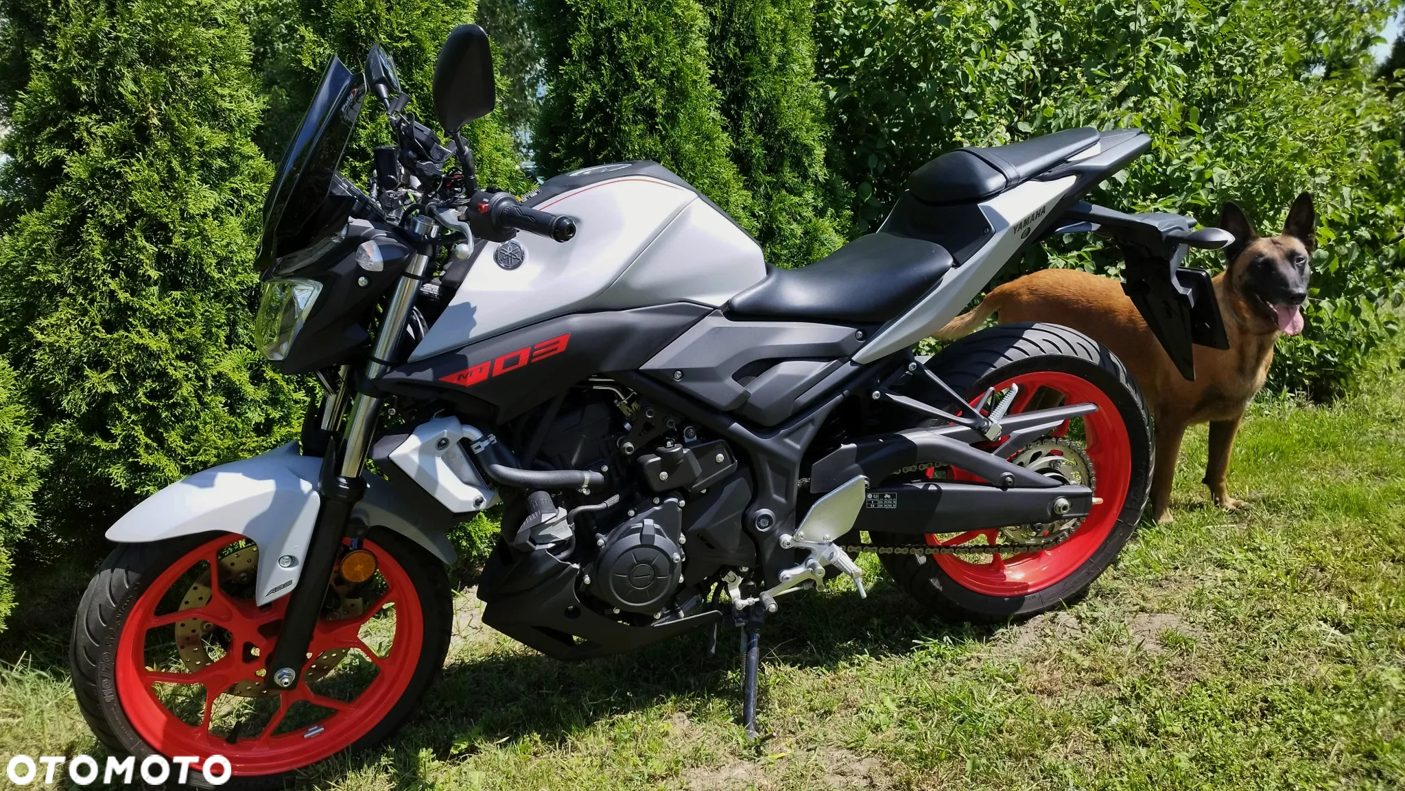 Yamaha MT - 7