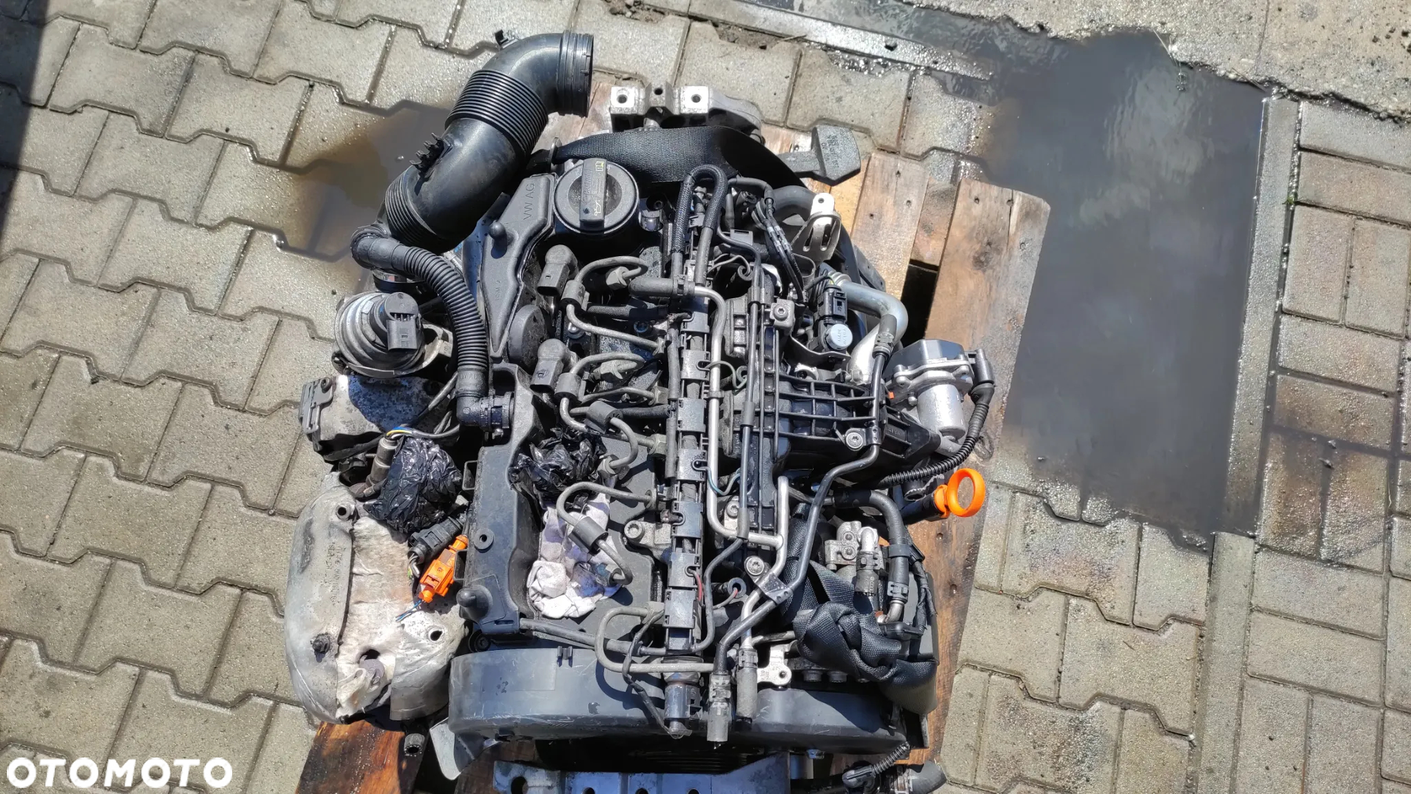 Silnik VW Caddy Audi 1.6 diesel kod: CAYD - 9