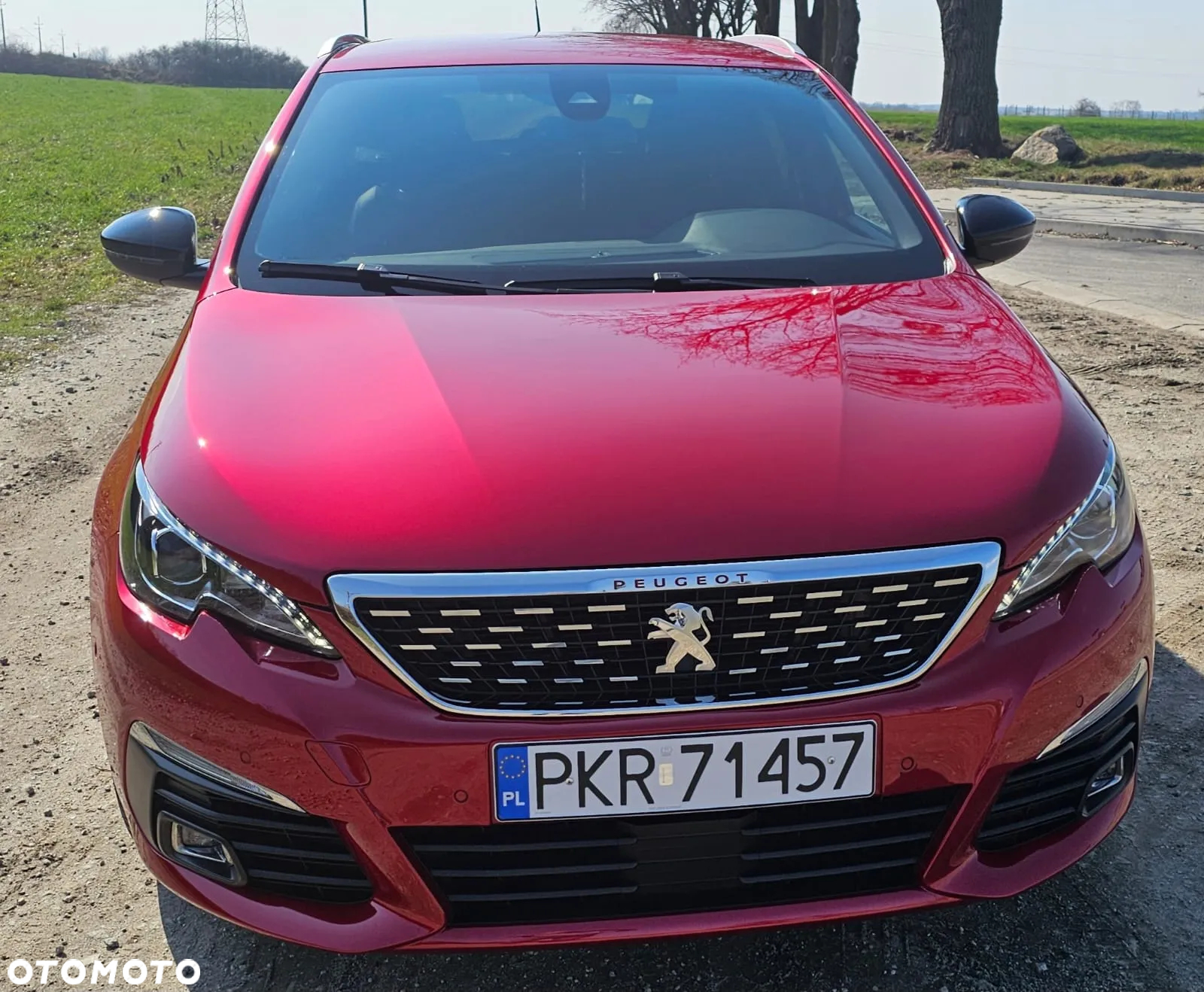 Peugeot 308 1.5 BlueHDi Active Pack Business S&S - 17
