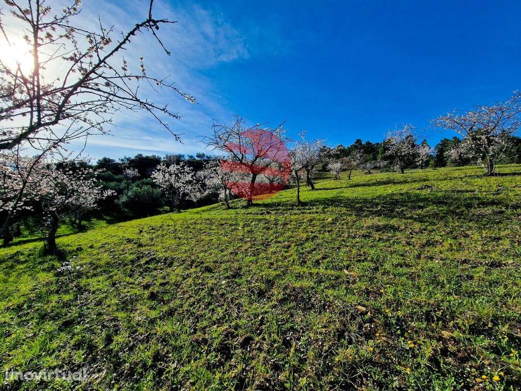 TERRENO RÚSTICO - Grande imagem: 2/11