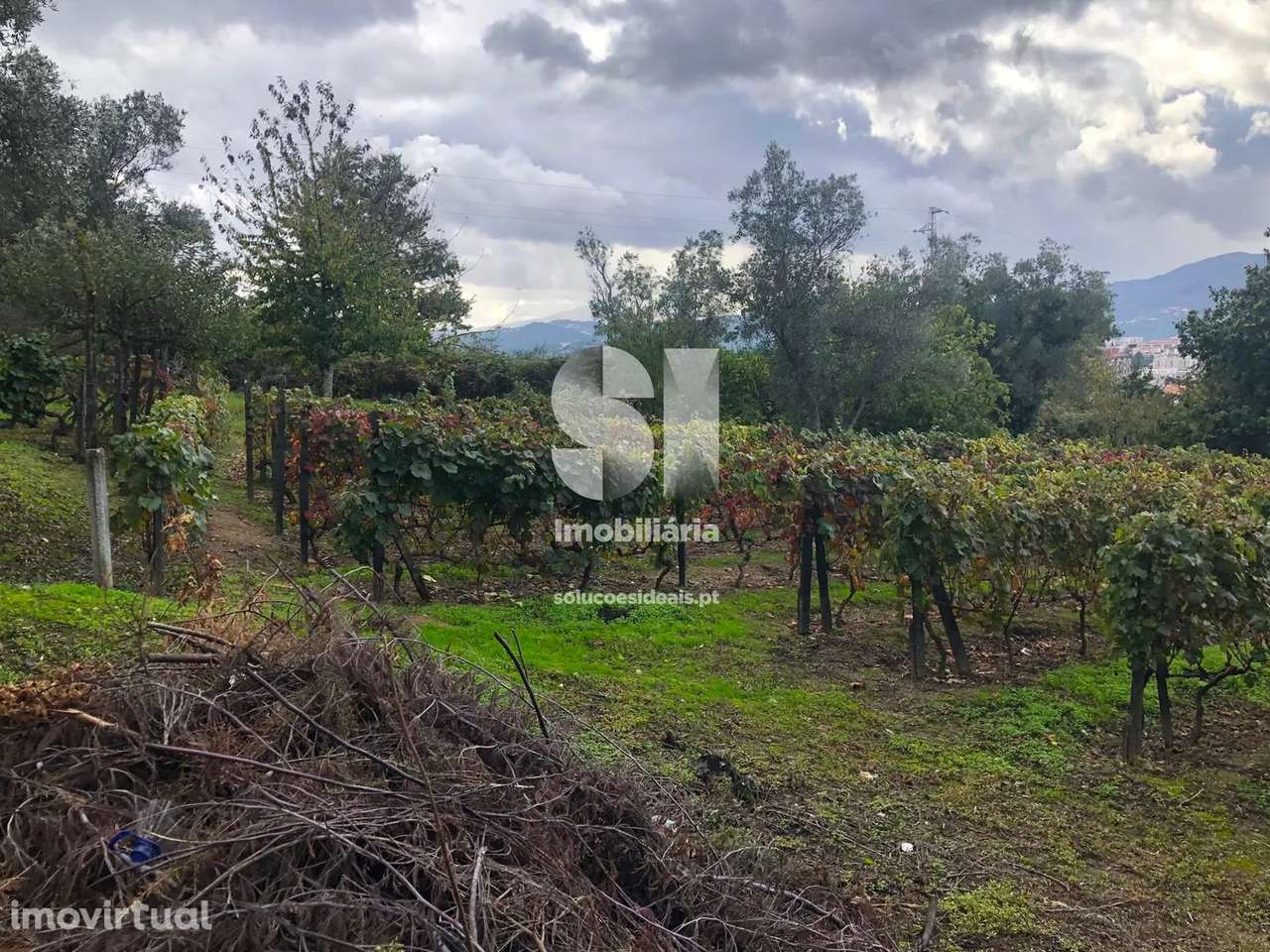 Terreno em Vila real - Grande imagem: 5/27