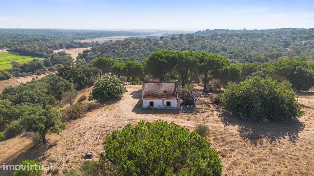 Herdade 176.6 ha, Montemor-o-Novo - Grande imagem: 2/25