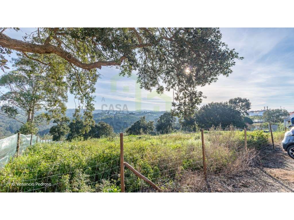 Lote - Ericeira 4 km, A Casa das Casas - Grande imagem: 3/7