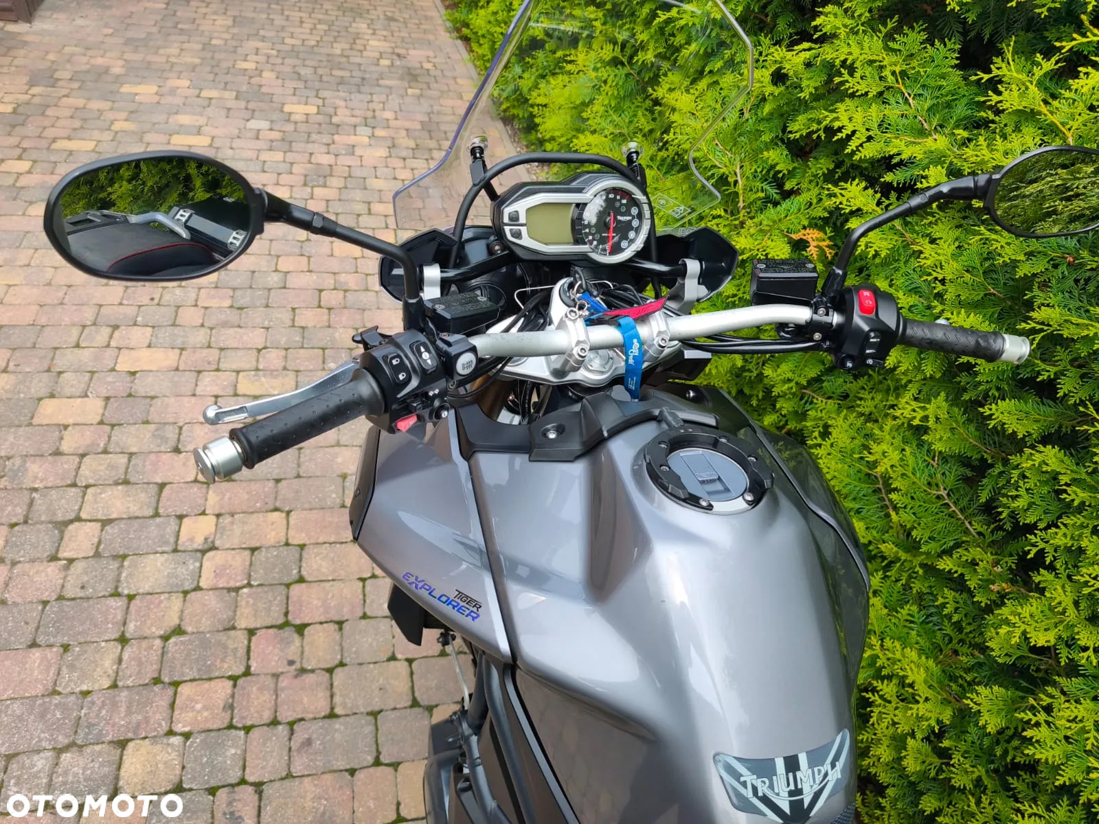 Triumph Tiger - 25