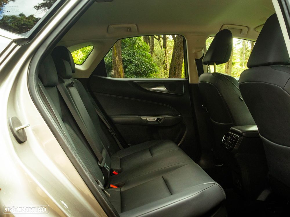 Lexus NX 350h Executive+ - 15