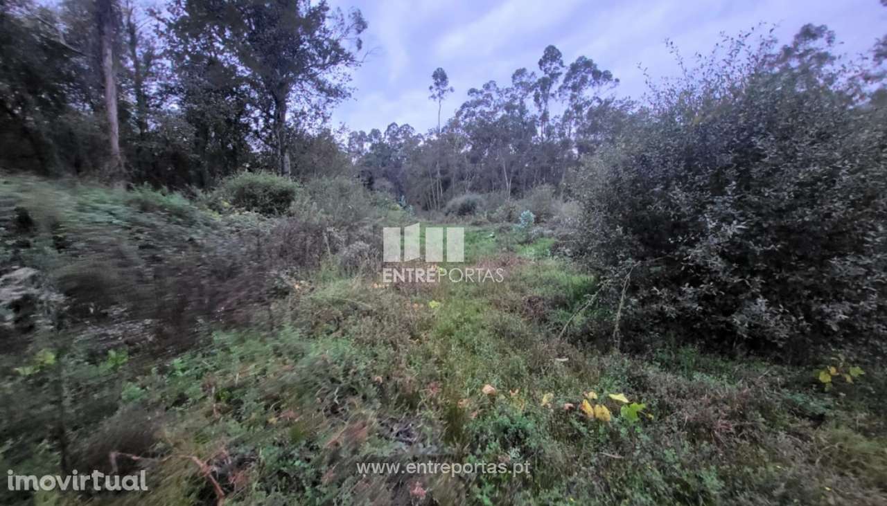 Venda de terreno florestal c/ 4590m², Vila Franca, Viana do Castelo - Grande imagem: 3/30