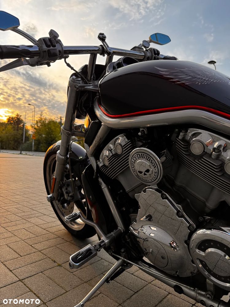 Harley-Davidson V-Rod Street Rod - 7