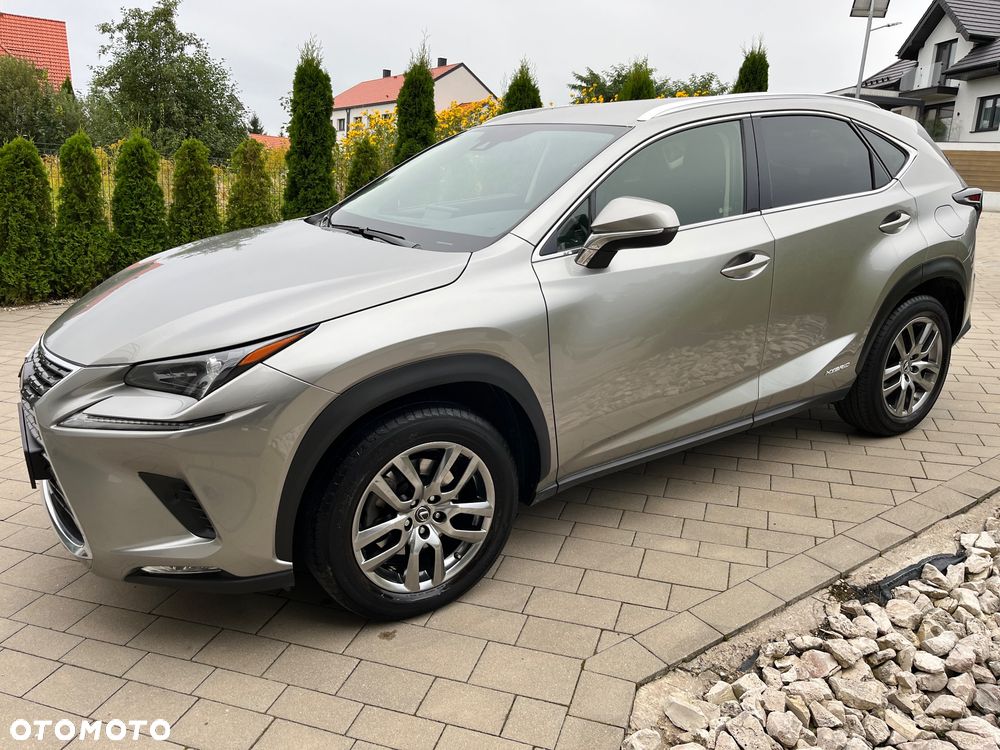 Lexus NX 300h F Sport Edition AWD - 7