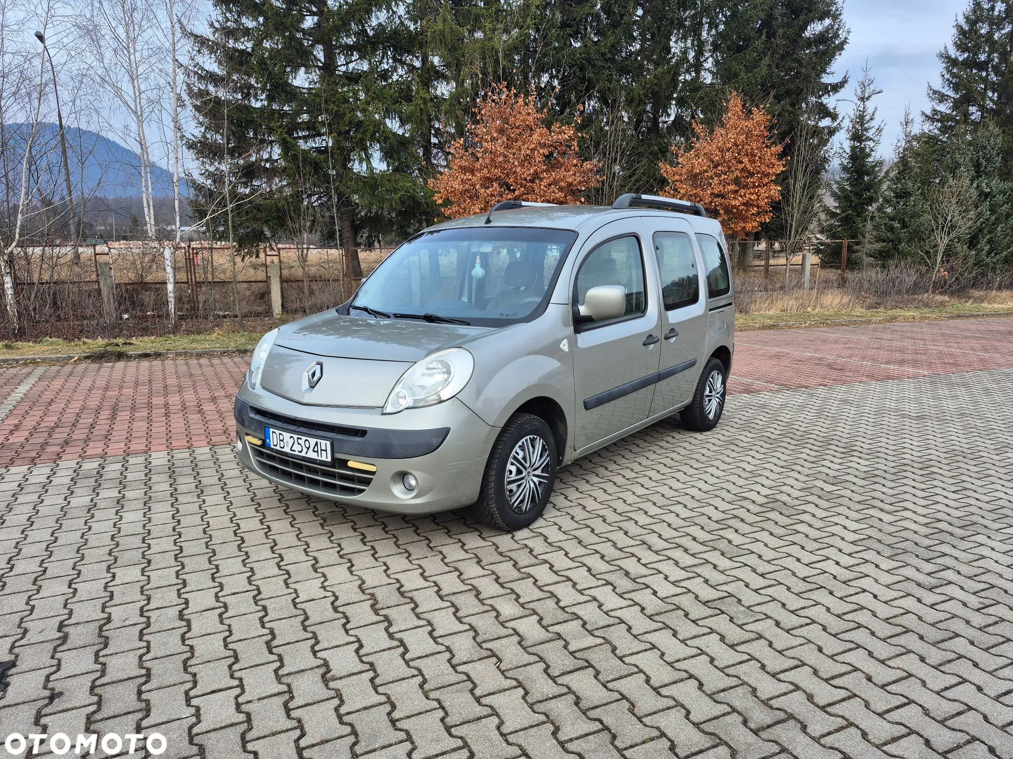 Renault Kangoo - 1