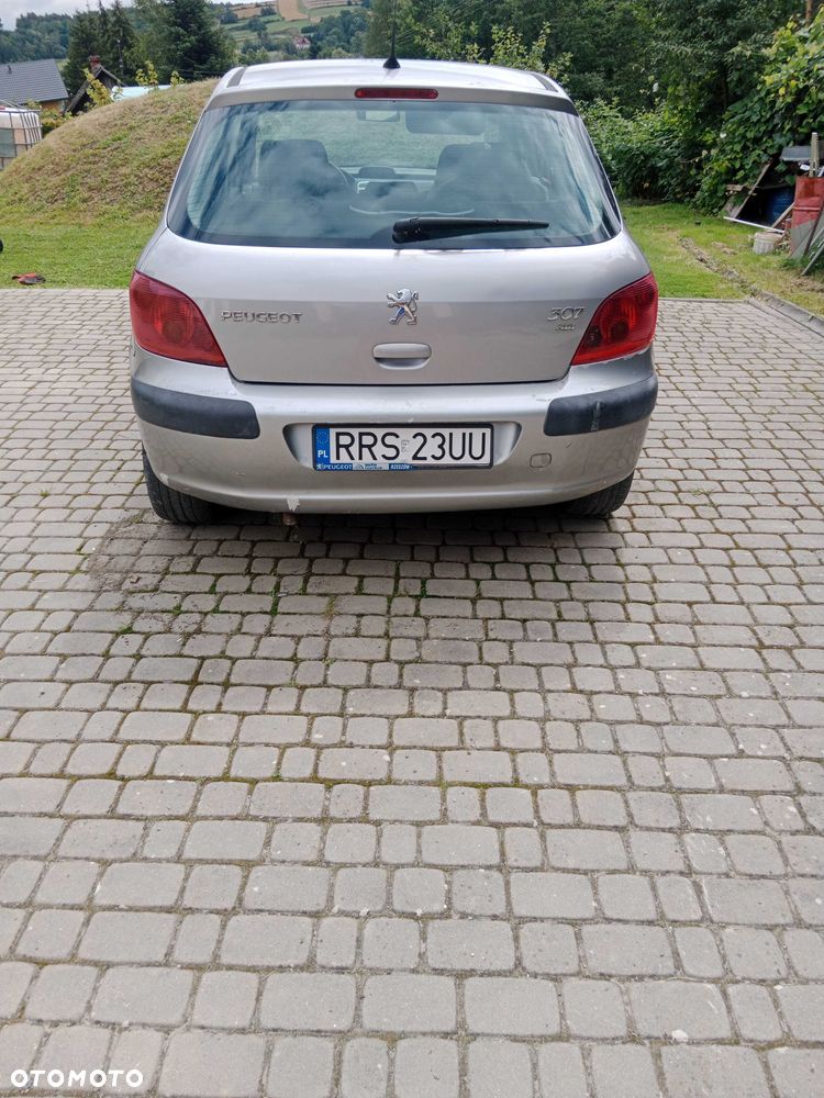 Peugeot 307 - 4