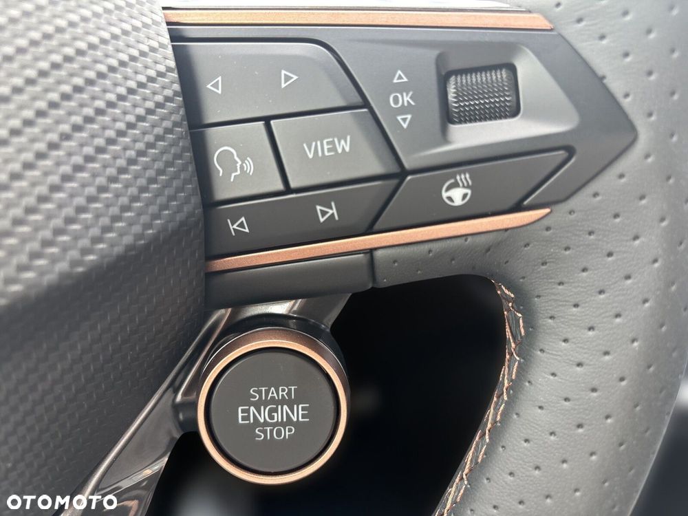 Cupra Terramar 2.0 TSI 4Drive DSG - 25