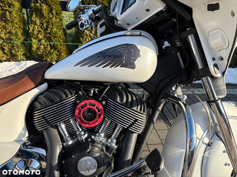 Indian Chieftain - 18