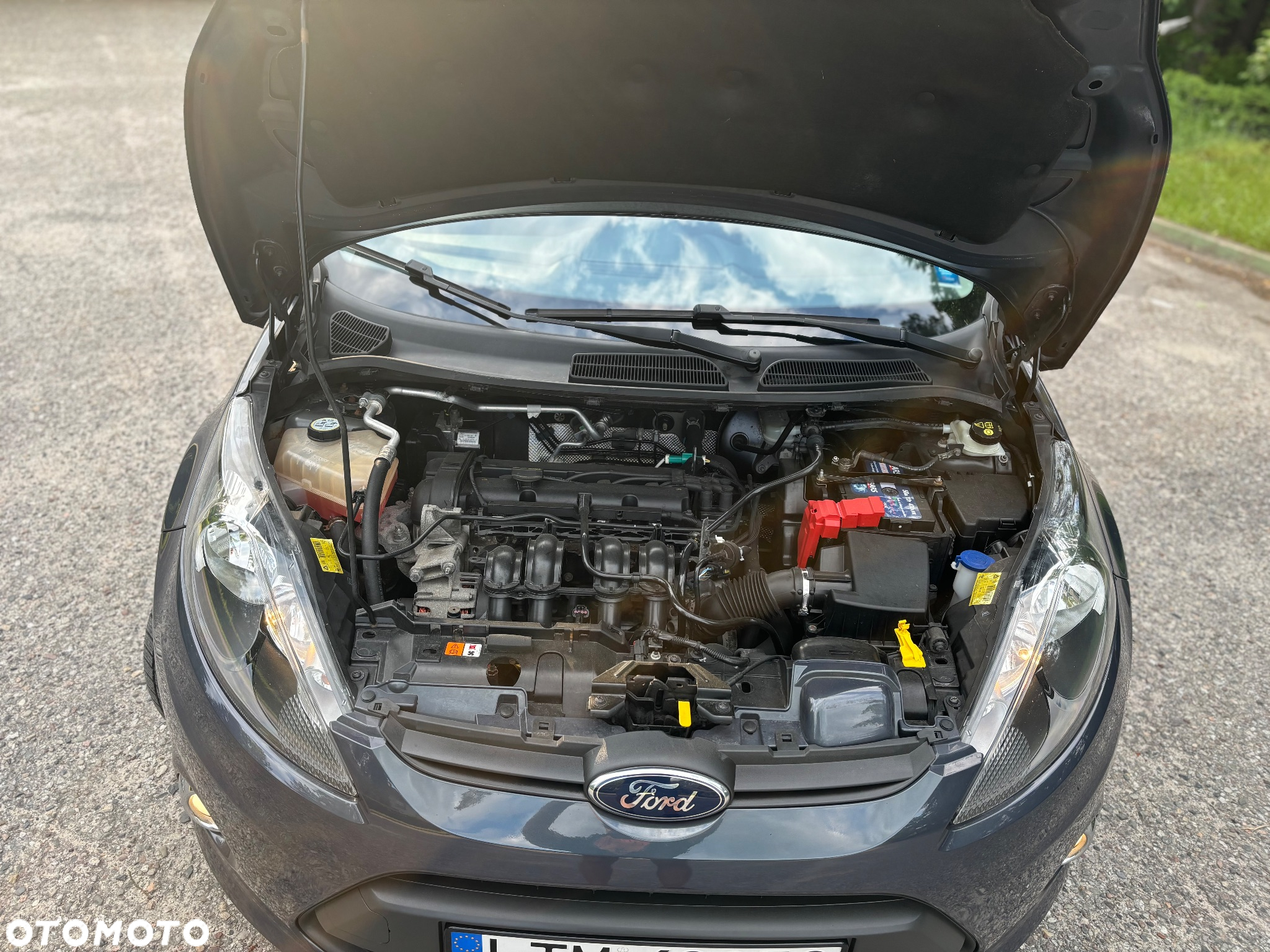 Ford Fiesta - 13