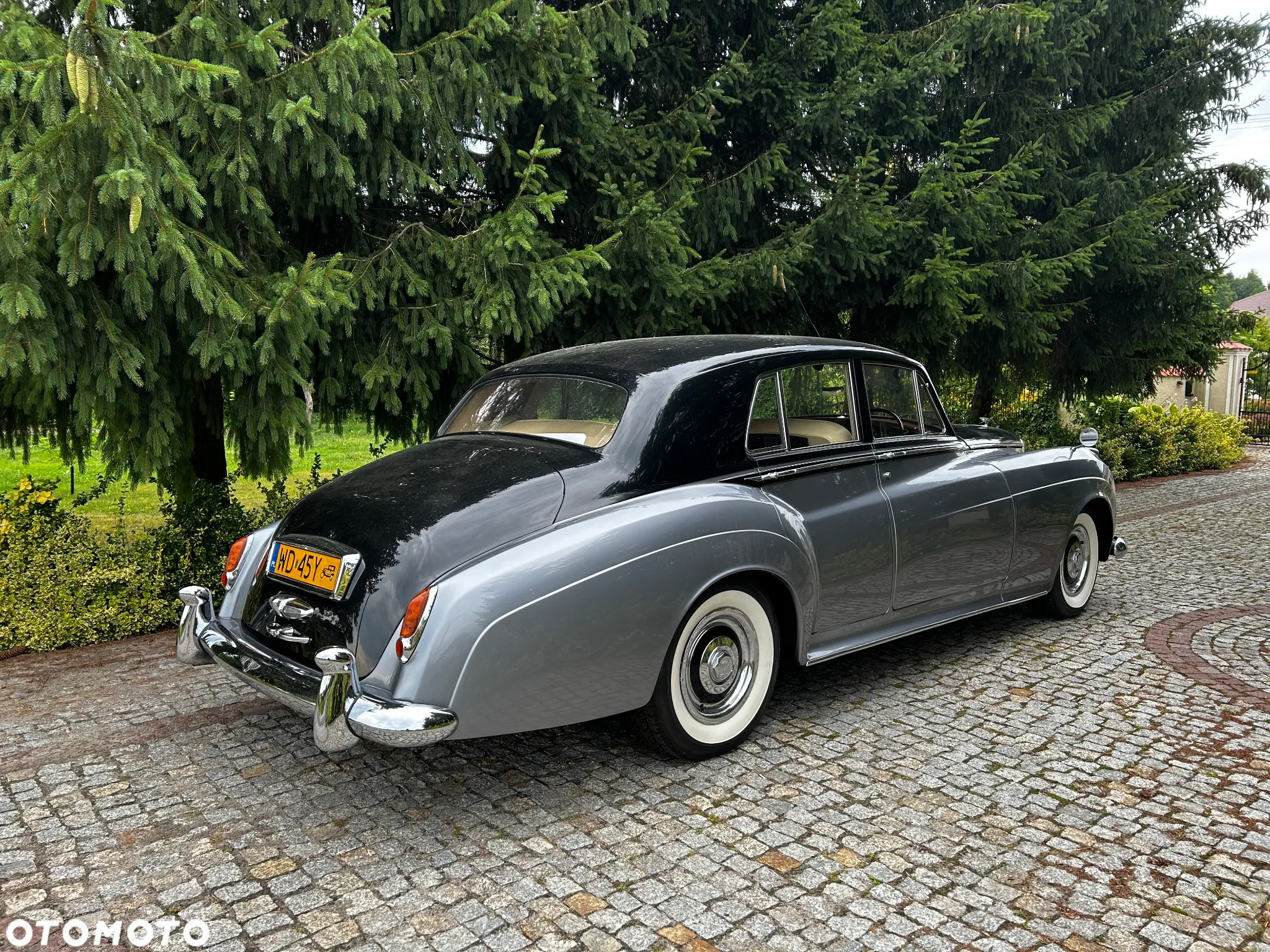 Bentley Inny - 4