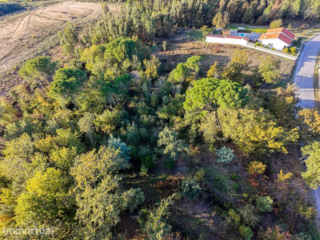 Terreno de 7.912 m2 com Viabilidade de Construção - Tábua - Grande imagem: 4/14