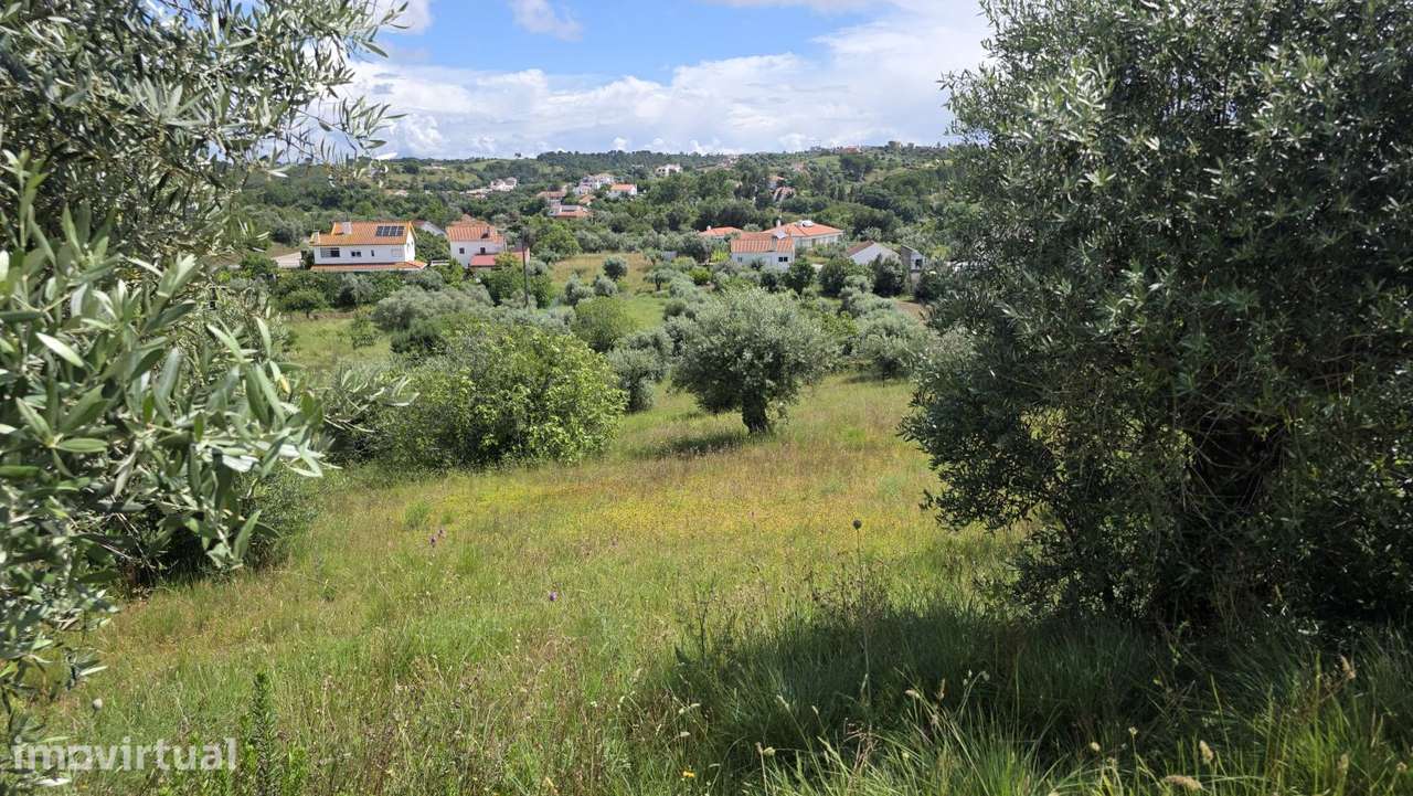 Excelente Terreno para Moradia a 5 kms de Tomar - Grande imagem: 3/35