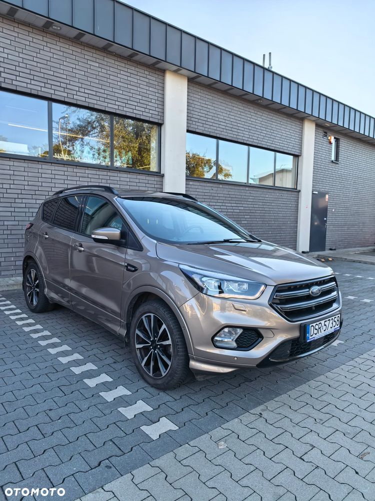 Ford Kuga 2019 photo 3