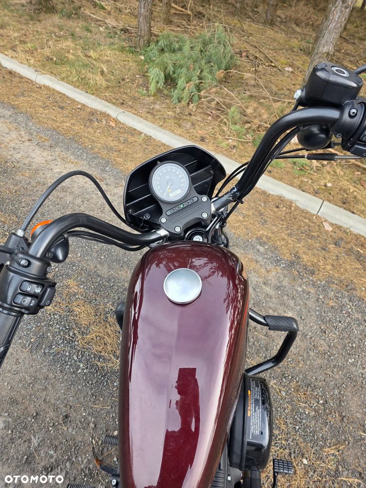 Harley-Davidson XR 1200 - 8