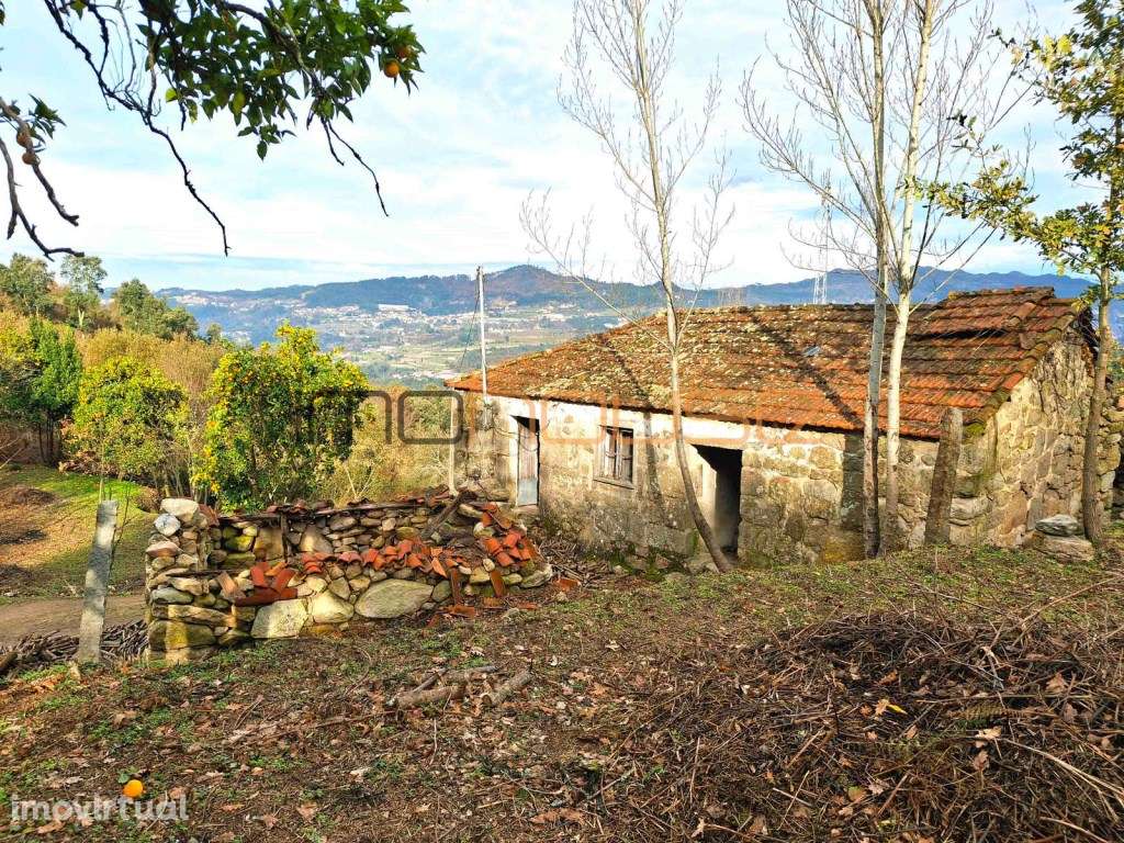 Quinta com Ribeiro e casa para restaurar - Terreno de cultivo - Grande imagem: 5/17