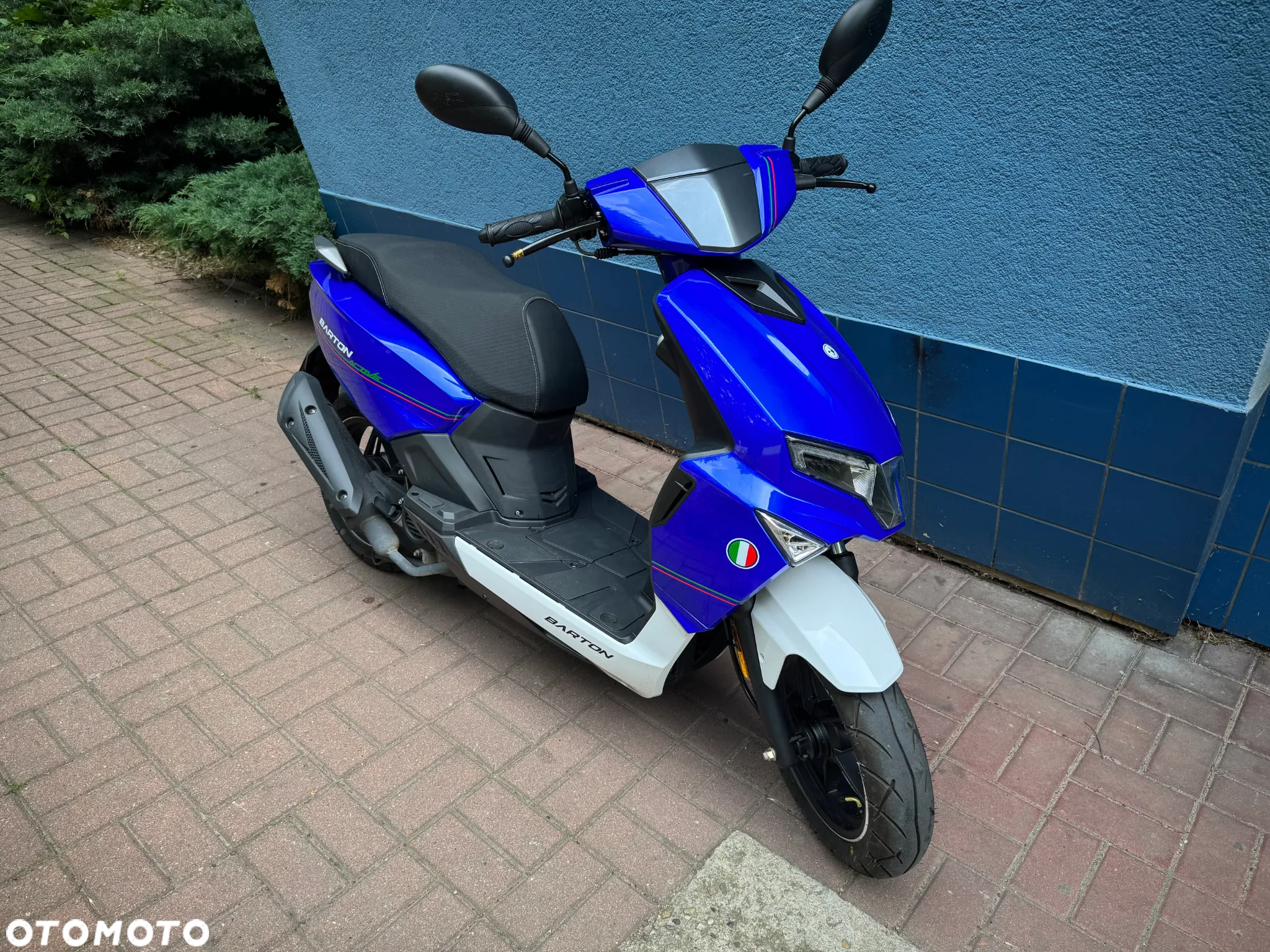 Barton Active - 3