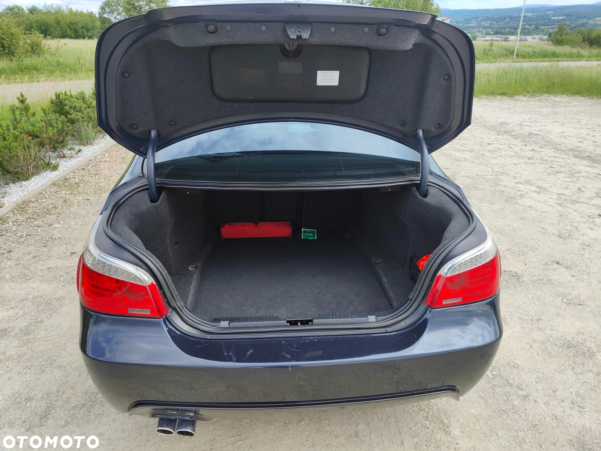 BMW Seria 5 525d - 10
