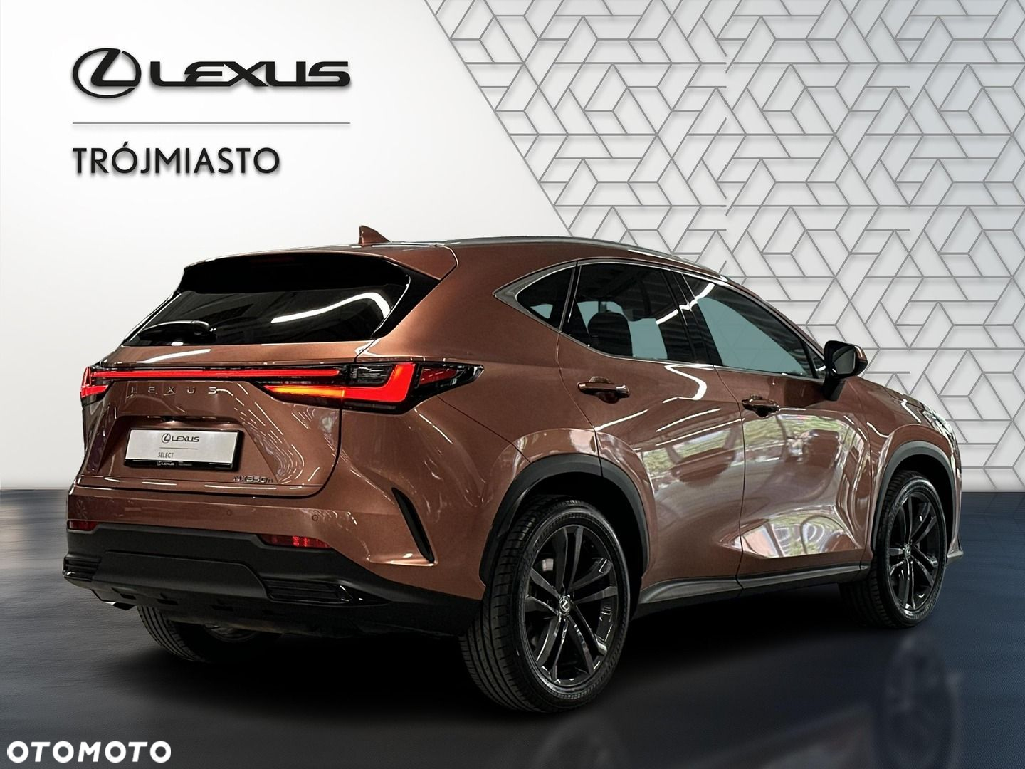 Lexus NX - 5