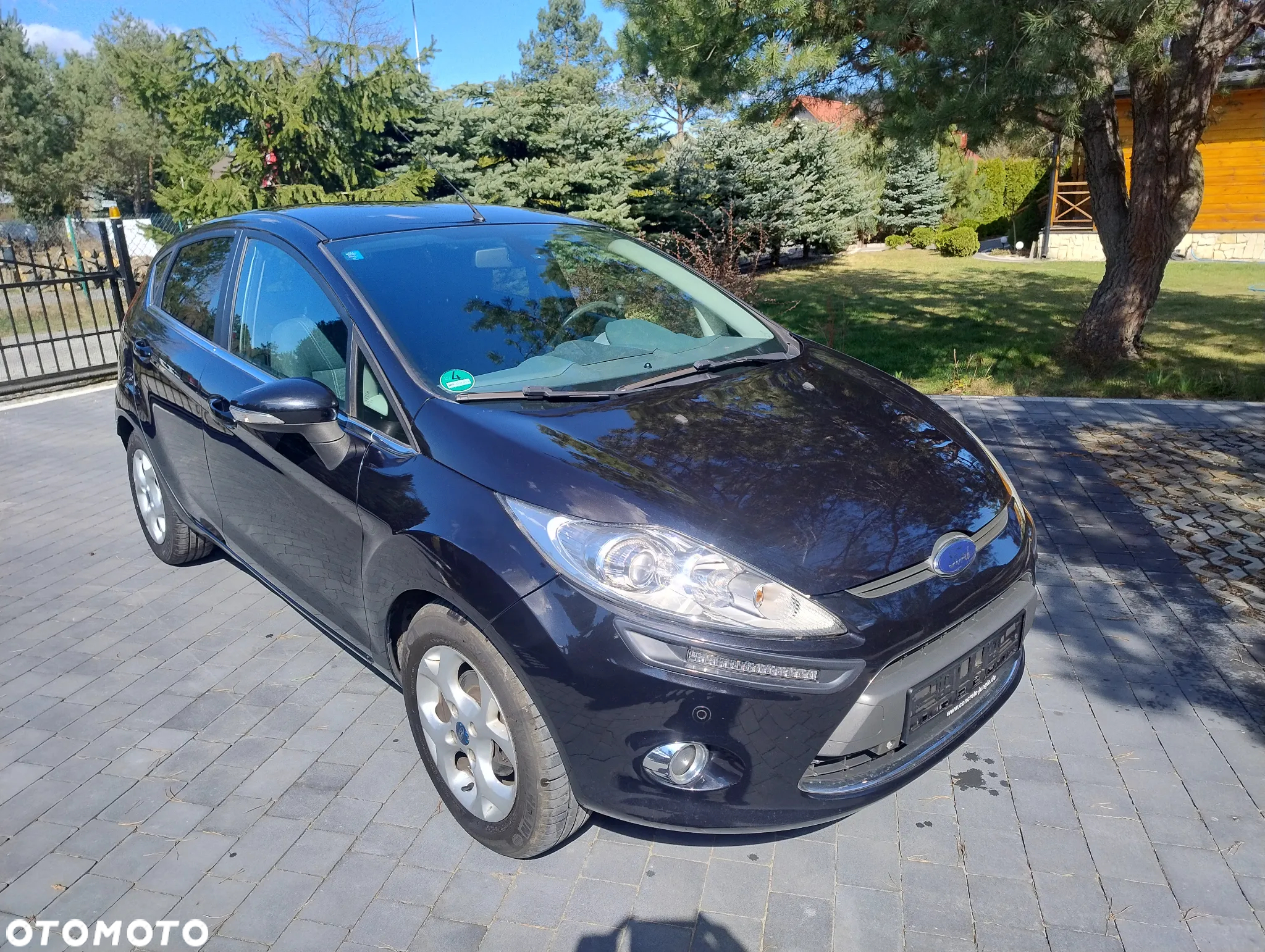 Ford Fiesta - 5