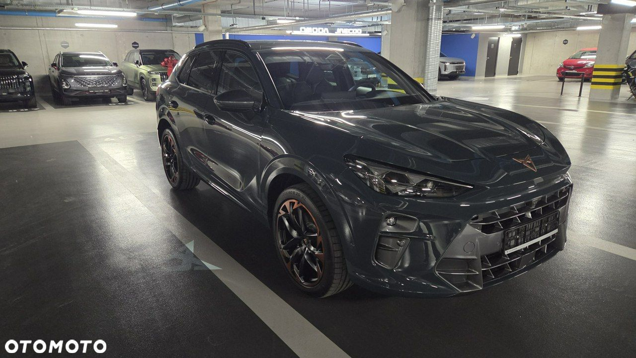 Cupra Terramar - 3