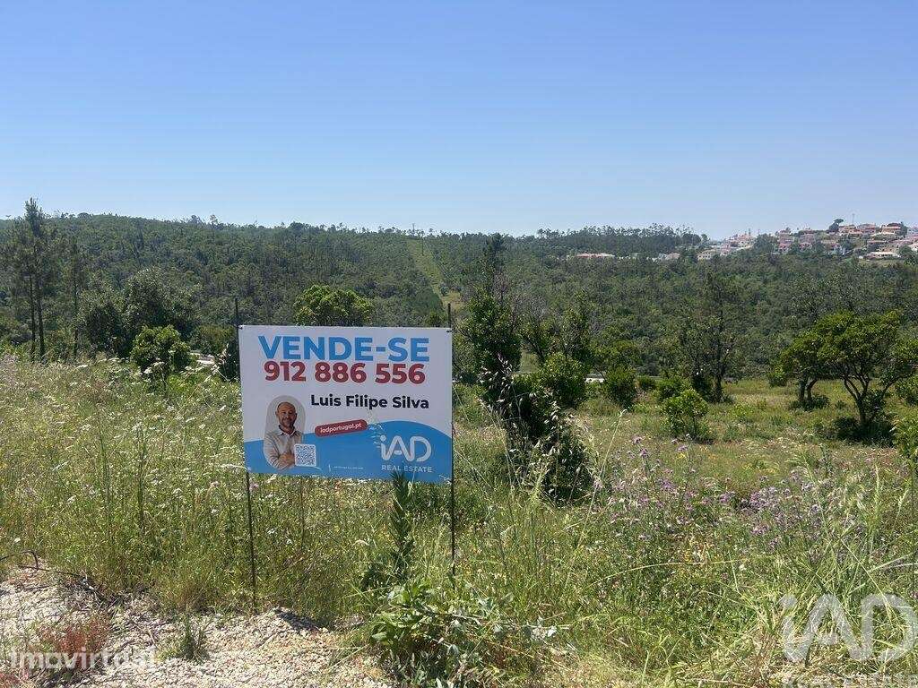 Terreno Agrícola em Pombal - Grande imagem: 3/12