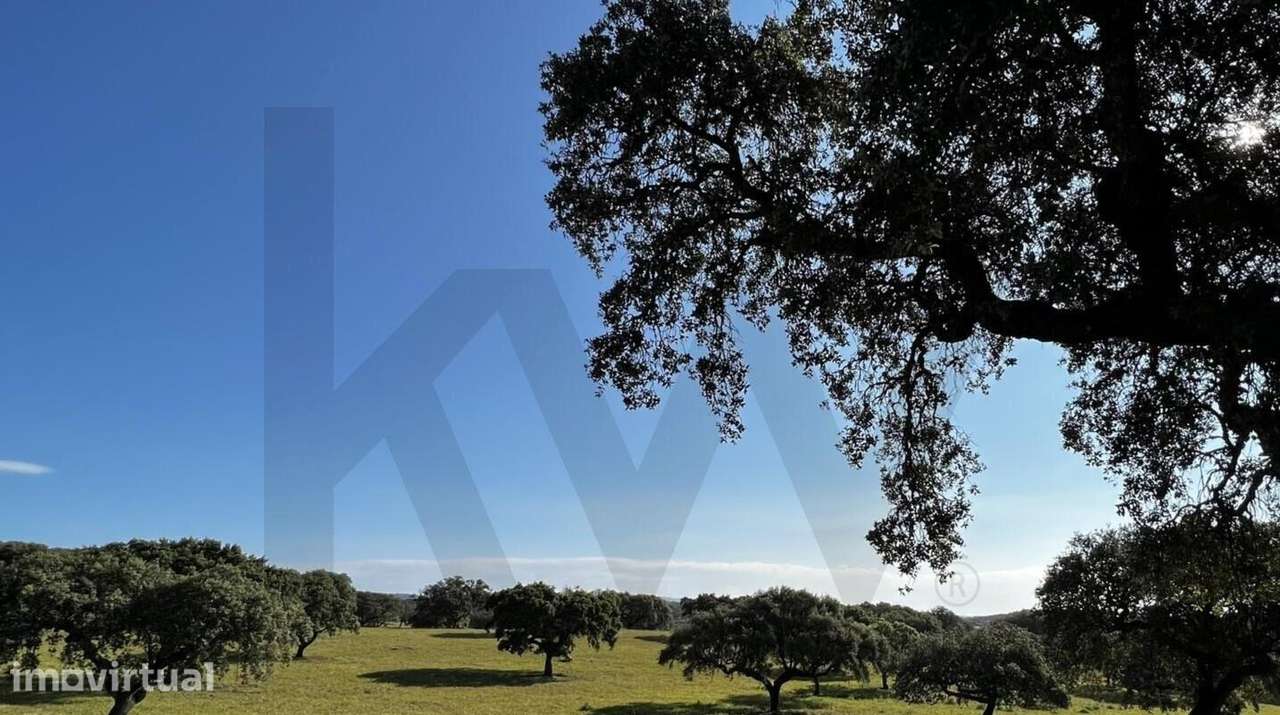 QUINTA PARA VENDA PROXIMO DE ESTREMOZ - Grande imagem: 2/3
