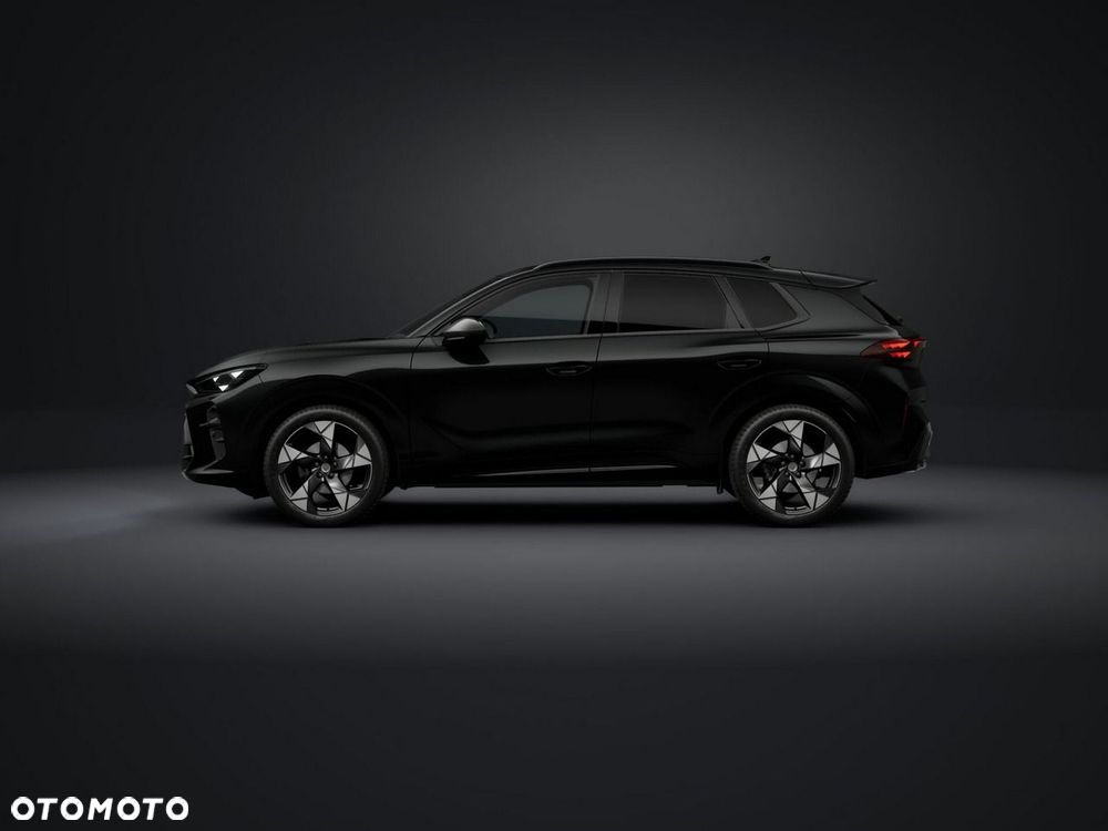 Cupra Terramar - 3
