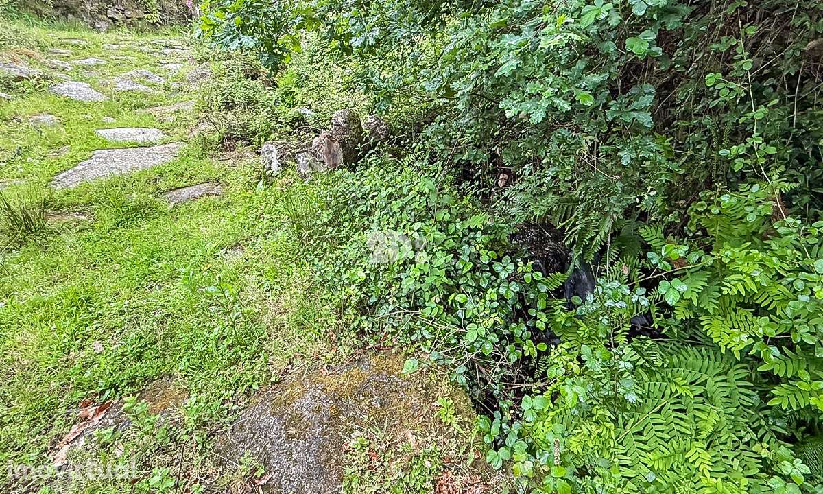 Terreno 4.250m² - Grade - Grande imagem: 4/7