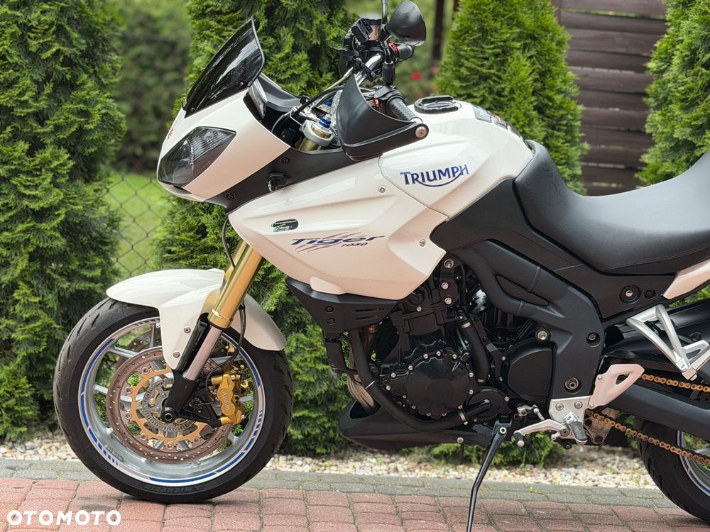 Triumph Tiger - 19