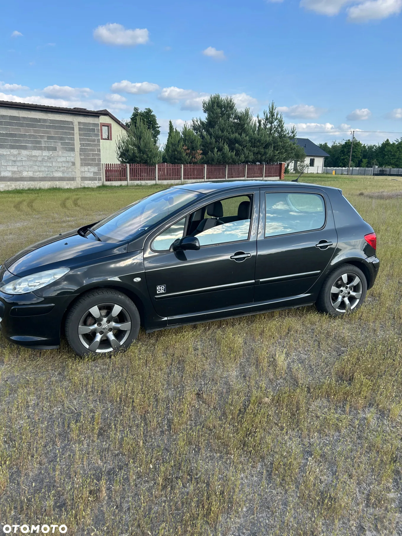 Peugeot 307 1.6 - 2