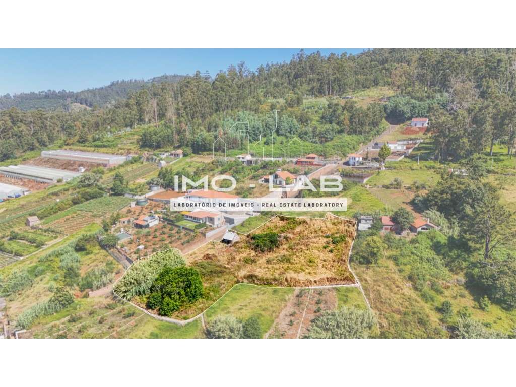 Terreno com 2962 m² - Ponta do Sol - Vista Mar e Serra! - View 6