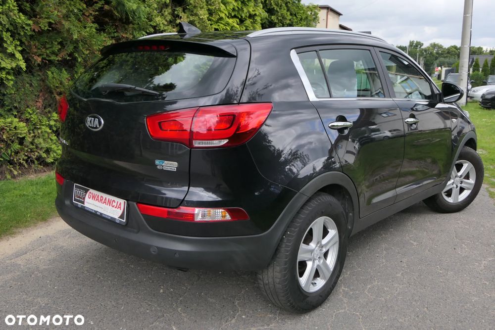 Kia Sportage 1.6 GDI L 2WD - 5
